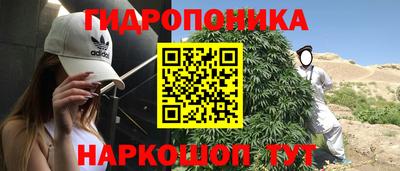 сатива Абинск