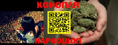 прущие крисы Абакан